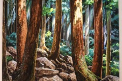 "Ashitaka soulage sa blessure démoniaque"  dans "Princesse Monomoke" de Hayao Miyazaki 