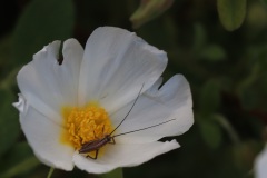 X_IMG_6793_HD