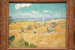 Champs de blé avec moissonneur, Auvers-sur-Oise (Toledo - Ohio, USA