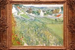 Vignes à Auvers-sur-Oise (Saint-Louis)